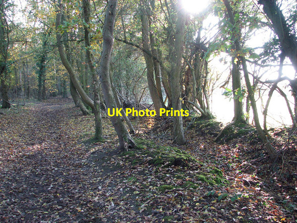 Photo 6"x4" Heading south on Beech Walk, Keswick Keswick\/TG2004 c2012