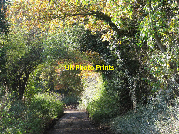 Photo 6"x4" To Beech Walk, Keswick Keswick\/TG2004 c2012