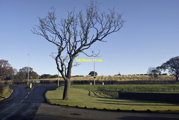 Photo 6"x4" Tree by junction on autumnal morning Mellor\/SD6530 c2012