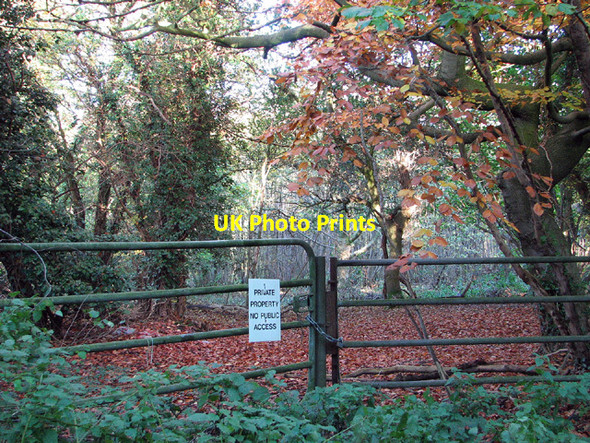 Photo 6"x4" Gated track into Big Wood, Keswick Keswick\/TG2004 c2012
