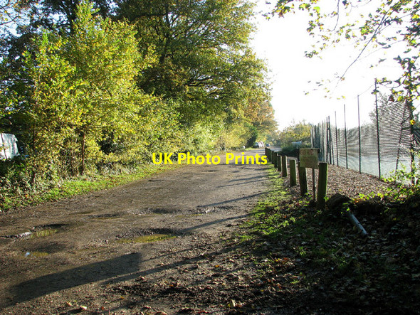 Photo 6"x4" View south along Bridle Lane Keswick\/TG2004 c2012