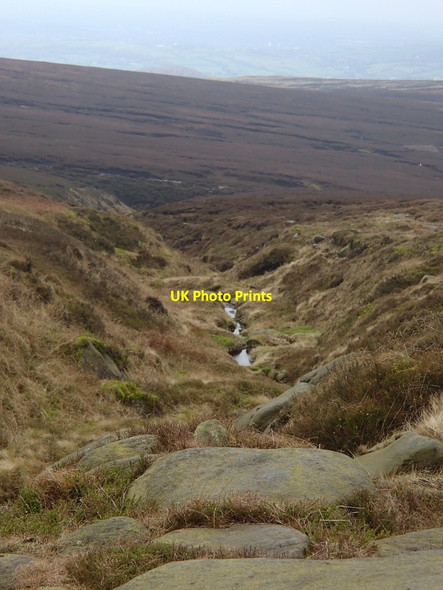 Photo 6"x4" Wildboar Grain Crowden\/SK0799 c2012