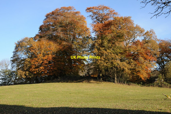 Photo 6"x4" Motte above Bettws Newydd Bettws Newydd c2012