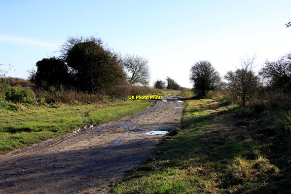 Photo 6"x4" Track to the Ridgeway Woodway c2012