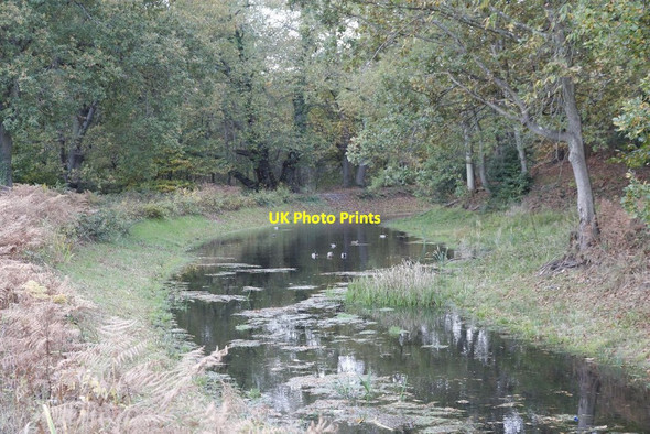 Photo 6"x4" Drained canal Pirbright Camp c2012