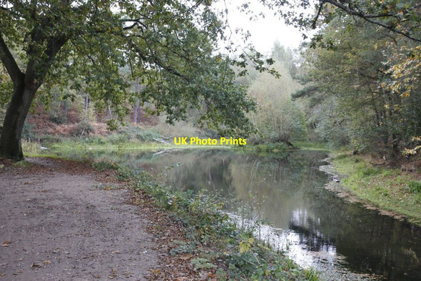 Photo 6"x4" Thought it was a junction Pirbright Camp c2012