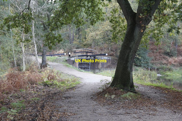 Photo 6"x4" Lock 26 past the tree Pirbright Camp c2012