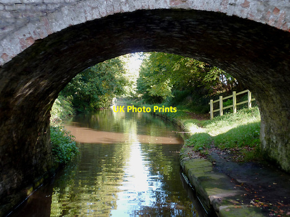 Photo 6"x4" Llangollen Canal at Wrenbury Heath, Cheshire Sound Heath c2012