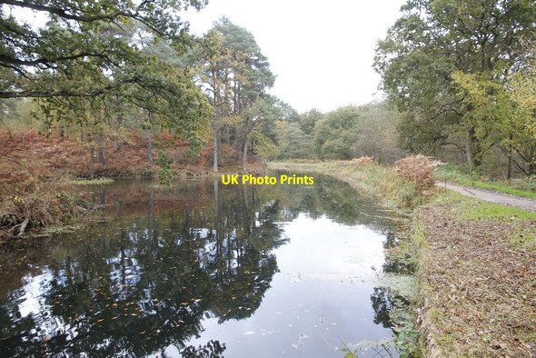 Photo 6"x4" Canal towards Lock 26 Pirbright Camp c2012