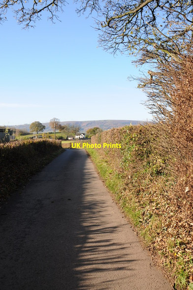 Photo 6"x4" Road out of Bettws Newydd Bettws Newydd c2012