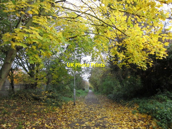 Photo 6"x4" The Trans Pennine Trail Sutton-on-Hull c2012