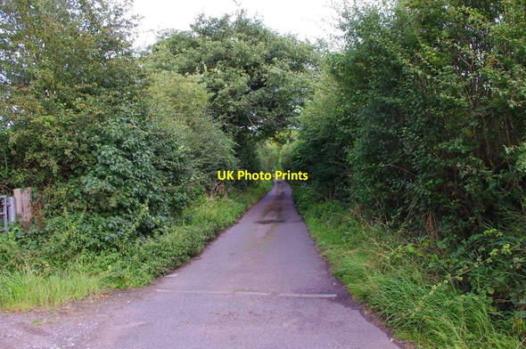 Photo 6"x4" Manor Lane, Gospel Ash Halfpenny Green c2012