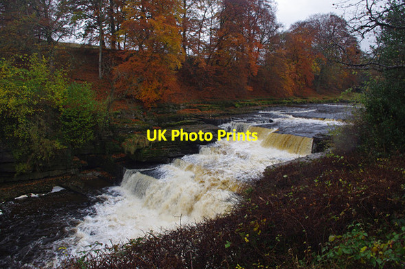 Photo 6"x4" Aysgarth Lower Falls Aysgarth c2012