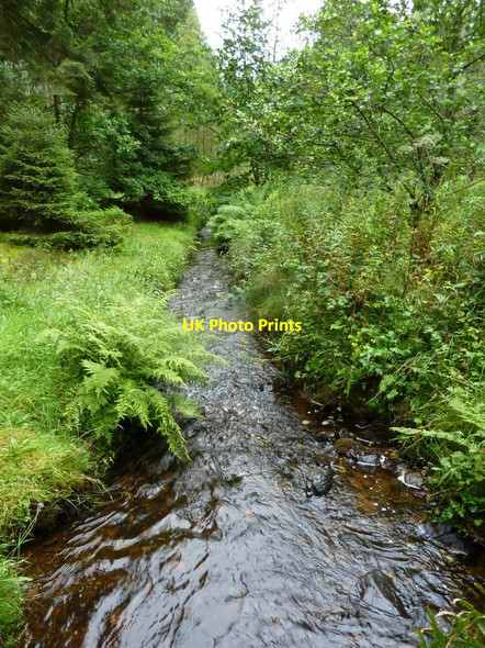 Photo 6"x4" Afon Clwyd Derwen\/SJ0650 c2012