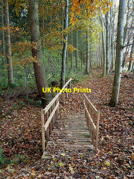Photo 6"x4" The Old Melrose Tearooms circular walk Bemersyde c2012