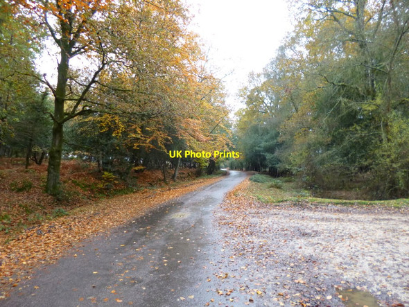 Photo 6"x4" Aldridge Hill, country road North Weirs c2012