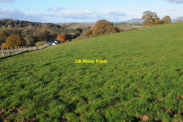 Photo 6"x4" Farmland and Llanwilcae Farm Gwehelog c2012