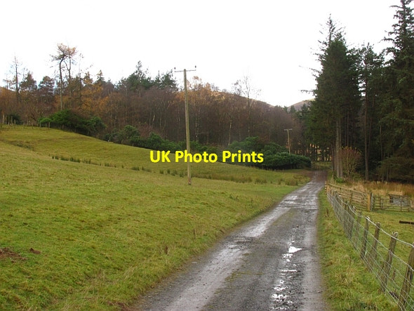 Photo 6"x4" Road to Stobo Hope Bellspool c2012 P1