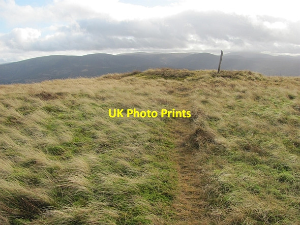 Photo 6"x4" The summit of Trahenna Broughton\/NT1136 c2012