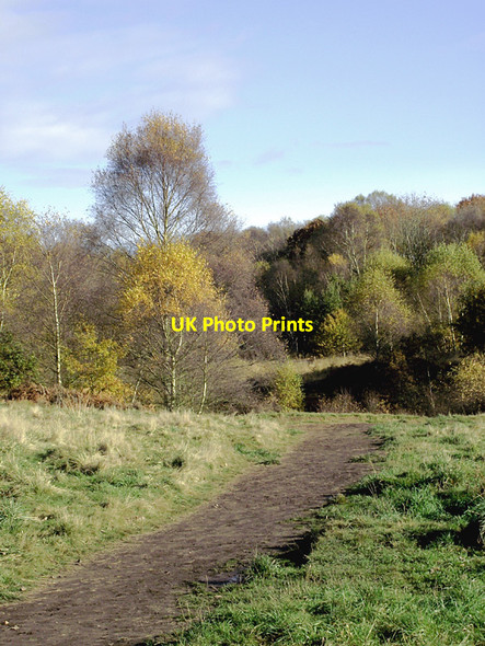 Photo 6"x4" Track on Highgate Common, Staffordshire Gospel Ash c2012