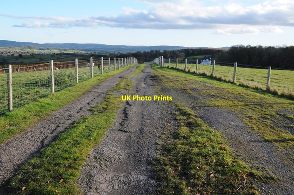 Photo 6"x4" Road to Ty r'-eos Farm Gwehelog c2012
