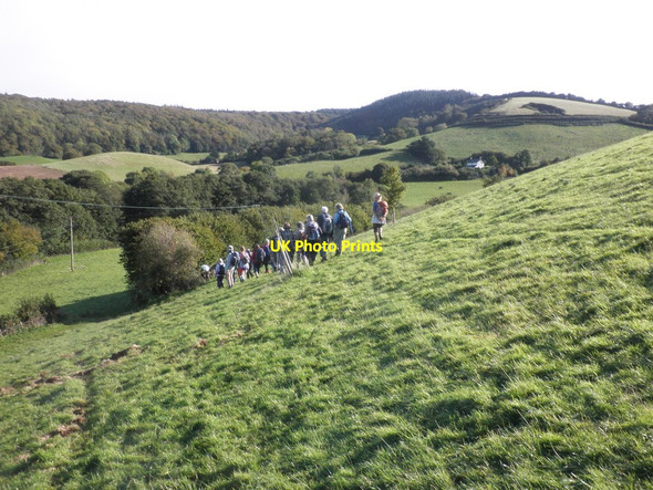 Photo 6"x4" Ramblers, near Wootton Knowle Blackford\/SS9245 c2012