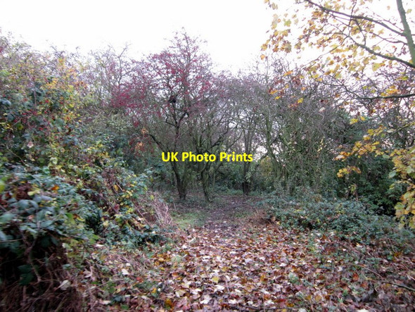 Photo 6"x4" A path leading to Poorhouse Lane, Hull Marfleet c2012
