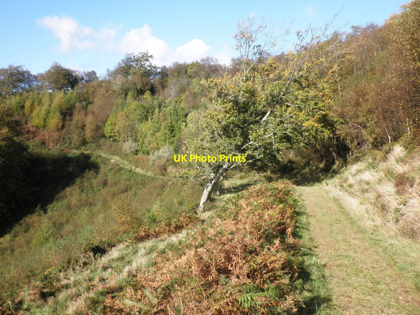 Photo 6"x4" Hillside path, above Wootton Courtenay Cowbridge\/SS9542 c2012