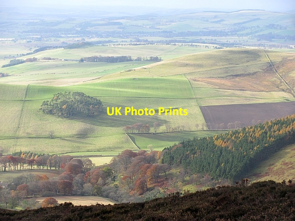 Photo 6"x4" Langlaw Hill Broughton\/NT1136 c2012