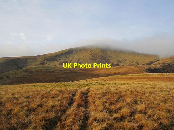 Photo 6"x4" On Congrie Hill Kingledores c2012