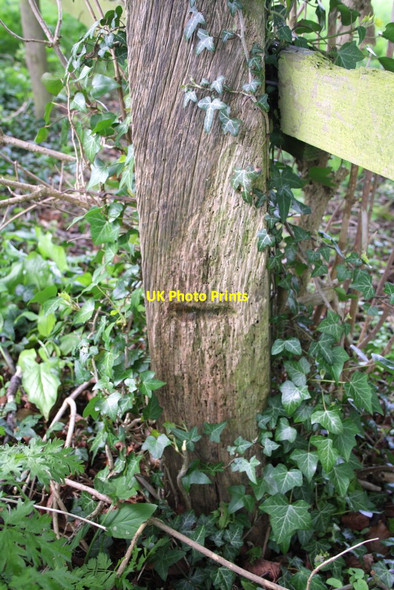 Photo 6"x4" Benchmark on wooden post, Court Hill Road Wantage c2012