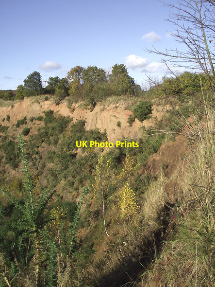 Photo 6"x4" Sandstone rock near Halfpenny Green, Staffordshire Gospel Ash c2012