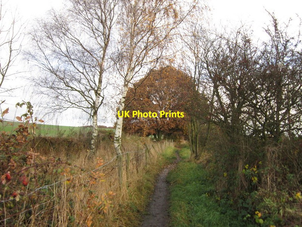 Photo 6"x4" A path leading to Ryhill Royston\/SE3511 c2012 P1