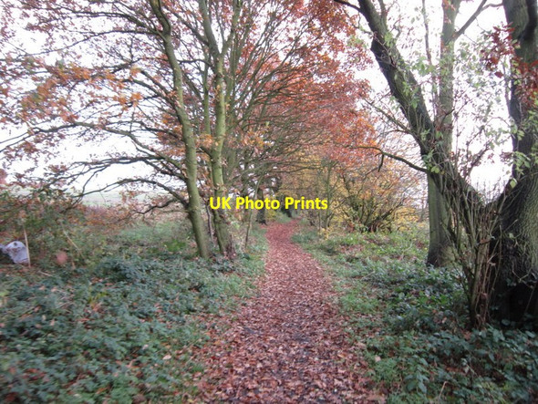 Photo 6"x4" A path leading to Ryhill Royston\/SE3511 c2012