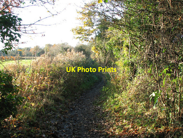 Photo 6"x4" Public bridleway from Keswick Mill to Eaton Cringleford c2012