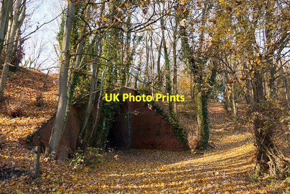 Photo 6"x4" Railway bridge, west of Springvale Headbourne Worthy c2012