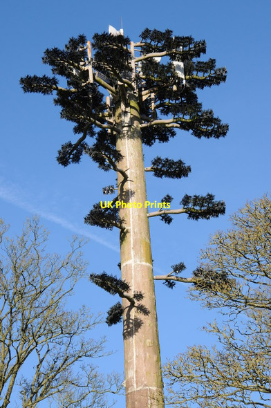 Photo 6"x4" Mobile phone mast Grendon Bishop c2012