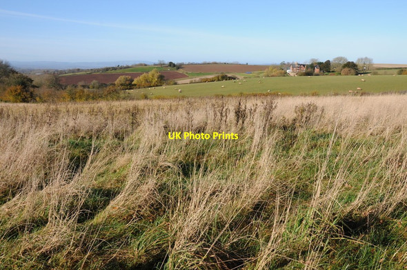 Photo 6"x4" Farmland at Grendon Bishop Grendon Bishop c2012