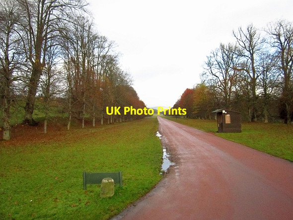 Photo 6"x4" Avenue, Drumlanrig Castle Cairnpark\/NX8698 c2012