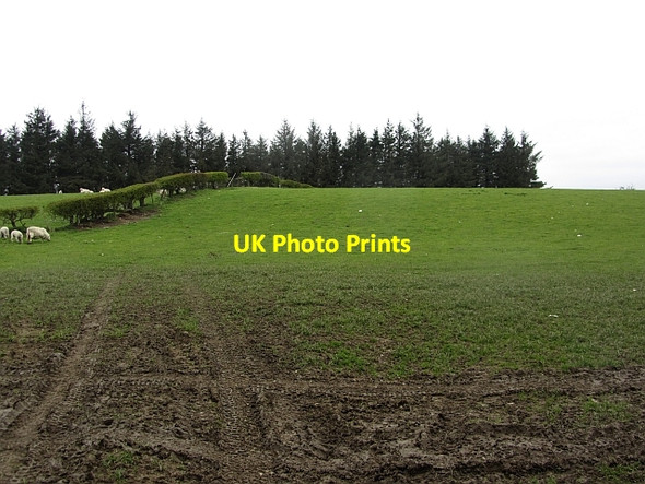 Photo 6"x4" A field above Craig-y-dduallt Wood Llangollen c2012