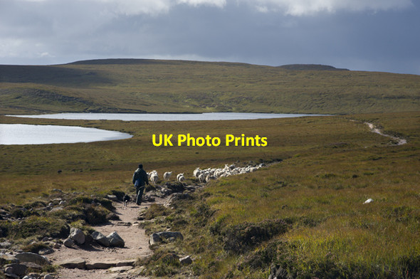 Photo 6"x4" Track from Sandwood Bay Loch Clais nan Coinneal c2012