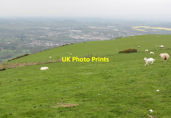 Photo 6"x4" Hilltop field Fron Isaf\/SJ2740 c2012