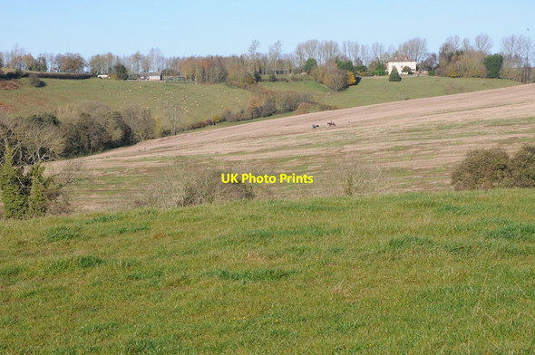 Photo 6"x4" View to Hampton Wafre Farm Docklow c2012