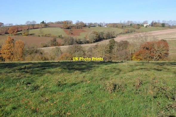 Photo 6"x4" Farmland near Hampton Wafre Farm Docklow c2012