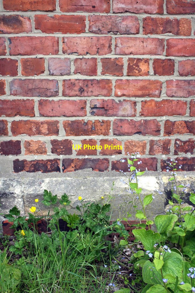 Photo 6"x4" Benchmark on lodge in Leazes Park Newcastle upon Tyne c2012