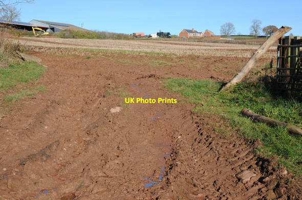 Photo 6"x4" Burnt Mill Docklow c2012