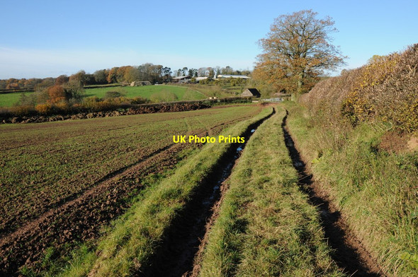 Photo 6"x4" Bridleway approaching Buckland Docklow c2012