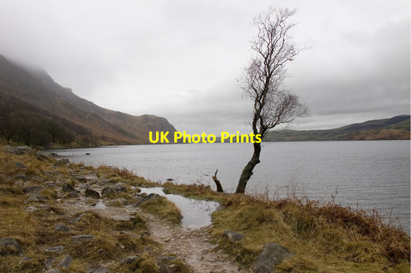 Photo 6"x4" Ennerdale Water shoreline Croasdale c2012