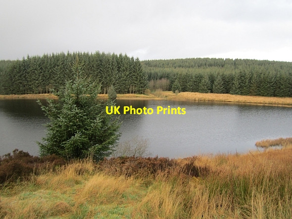 Photo 6"x4" Loch Ettrick Loch Ettrick c2012