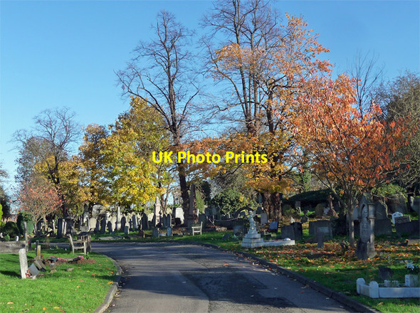 Photo 6"x4" Path, West Norwood Cemetery (6) Streatham c2012